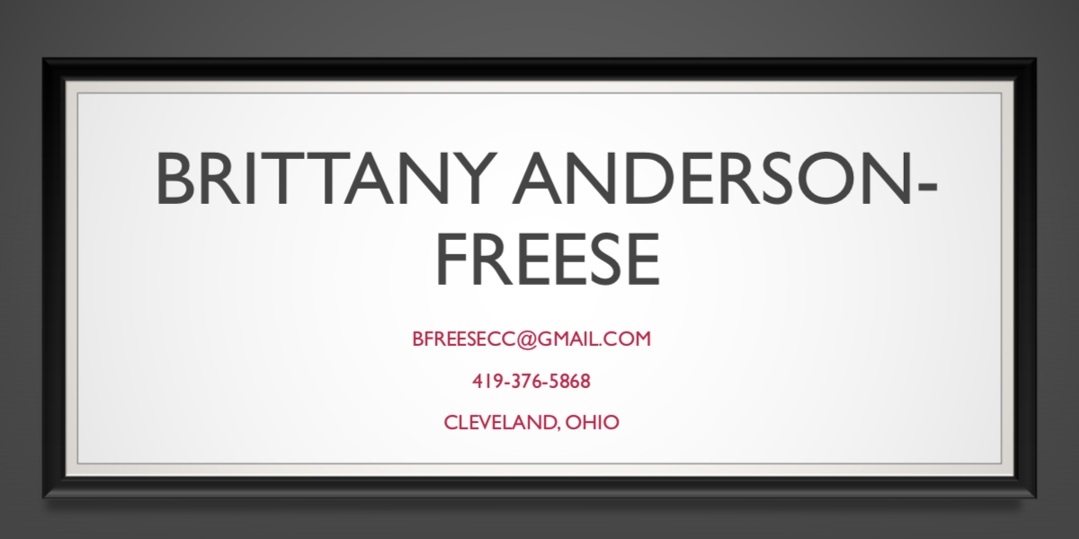 Brittany Anderson-Freese's Portfolio Project