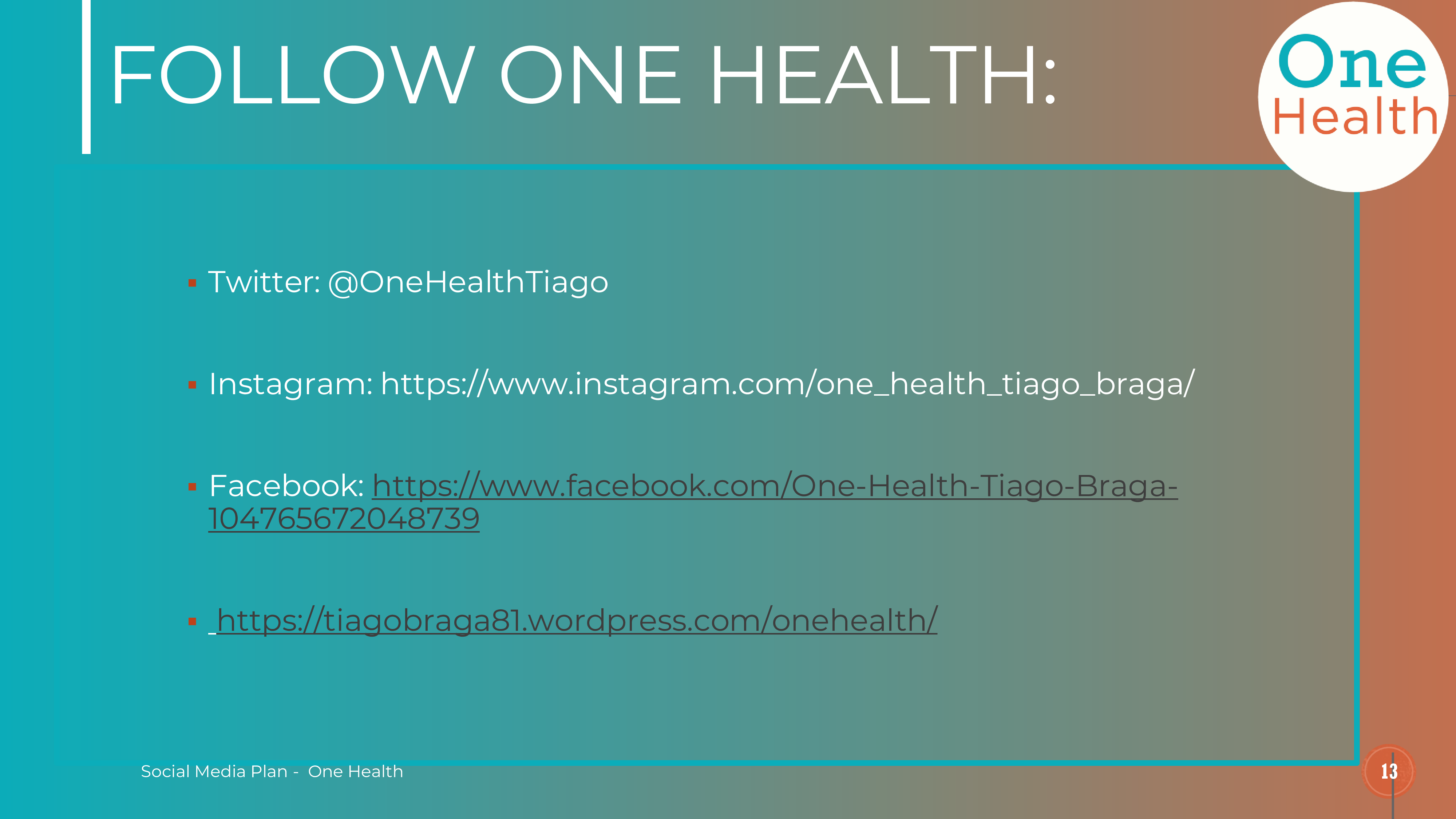 social media plan one health 12